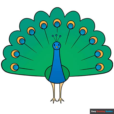 How To Draw A Peacock Step By Step