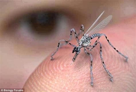 Insect Drones: Privacy is now a thing of the past