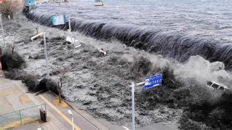 Gempa Disertai Tsunami Terjadi di Jepang, Gempa Susulan Terjadi 5 Kali, Begini Kondisi Sekarang ...