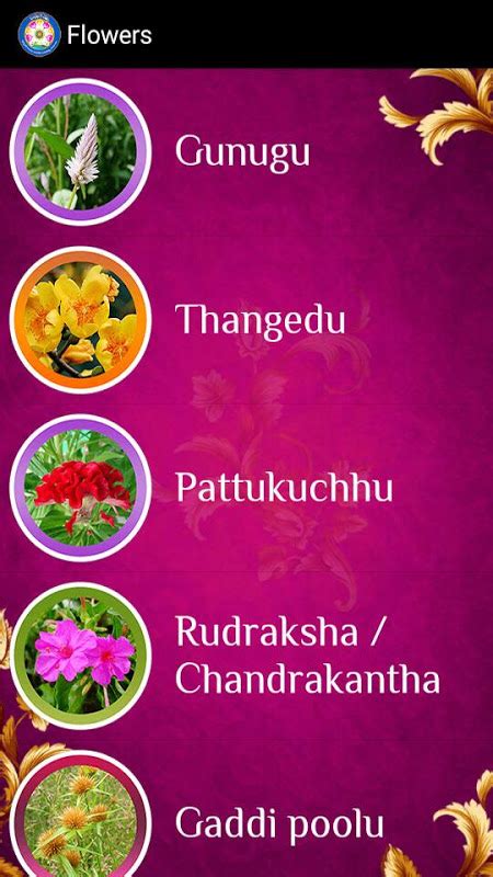 Bathukamma Flowers Names In Telugu Language | Best Flower Site