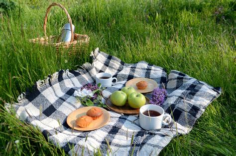 Summer picnic in the Park | High-Quality Food Images ~ Creative Market