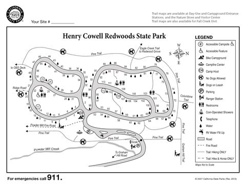 Henry Cowell Redwoods State Park - Campsite Photos and Camping Information