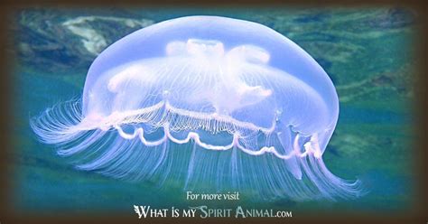 Jellyfish Symbolism & Meaning | Spirit, Totem & Power Animal