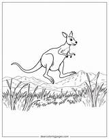 Kangaroo Coloring Pages  12 Free Printable AI Generated Designs sketch template