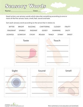 Sensory Words | Worksheet | Education.com | Sensory words, Sensory language, Language worksheets