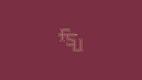 Download All eyes on the Florida State Seminoles Wallpaper | Wallpapers.com