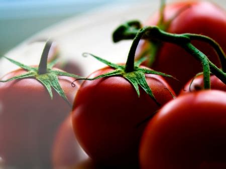 Comments on VINE RIPEN TOMATOES - Other Wallpaper ID 1529404 - Desktop Nexus Nature