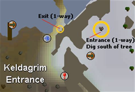 Brine Rat Cavern - OSRS Wiki