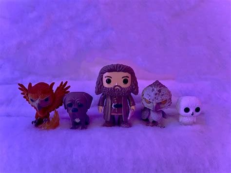 Buckbeak joins Hagrid and friends. : r/funkopop