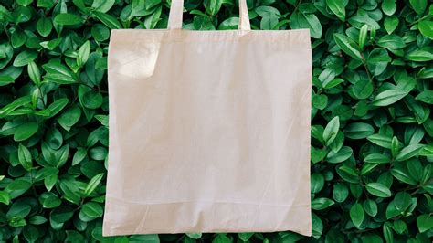 Are Tote Bags Eco-Friendly? - Brush with Bamboo