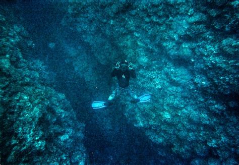 Me Snorkeling in Okinawa, Japan | Okinawa, Japan, Snorkeling