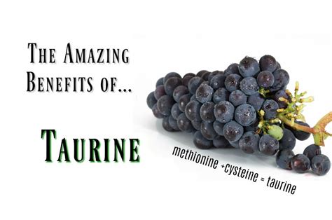 22 Amazing Benefits of Taurine