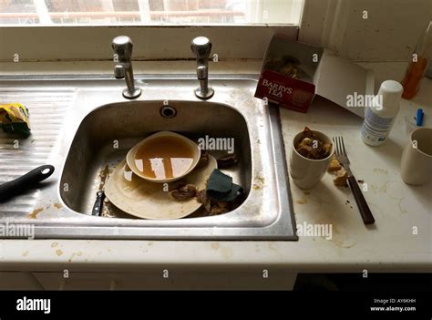 How Dirty Is The Kitchen Sink – Things In The Kitchen