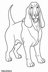 Basset Hound Cani Colorare Disegni Stilizzati Kolorowanki Facili  sketch template