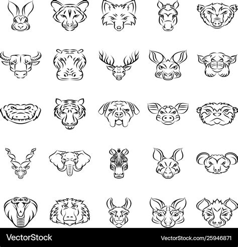 Animals mascot drawing Royalty Free Vector Image