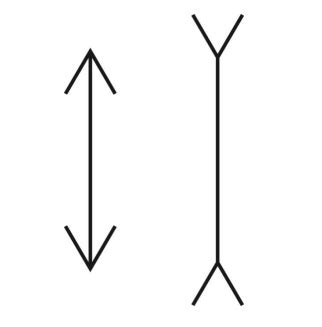 Müller-Lyer Illusion: Local and Global Processing - 1949 Words | Research Paper Example