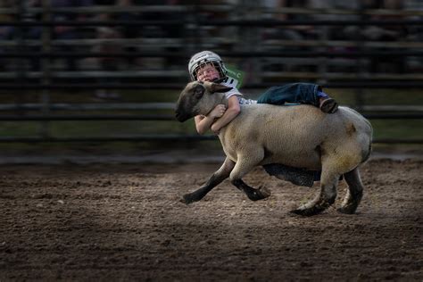 Brave Young Boy Photograph by Anna Zhang - Fine Art America