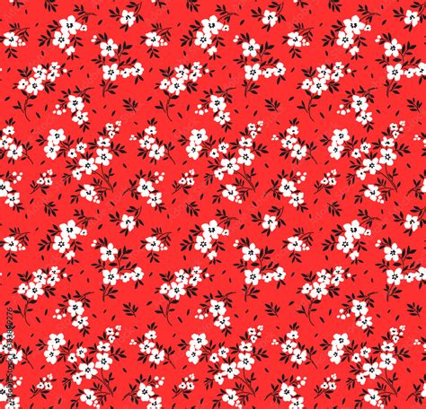 White Flowers Red Background