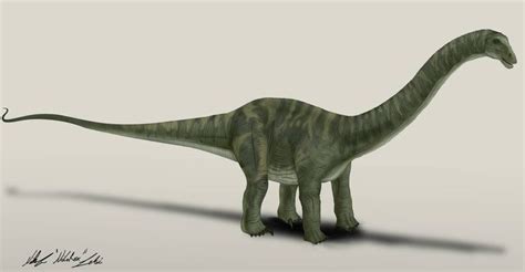 Jurassic World Fallen Kingdom Apatosaurus by NikoRex on DeviantArt