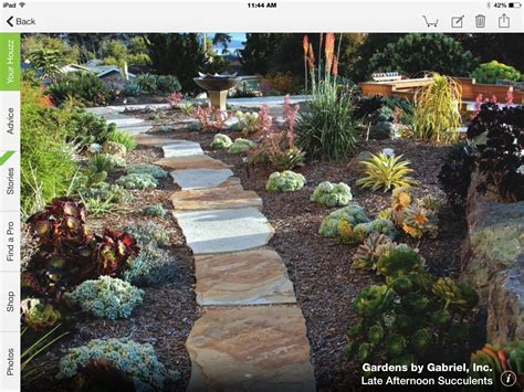 Drought tolerant landscape, Succulents, Mediterranean Garden, Houzz.com ...