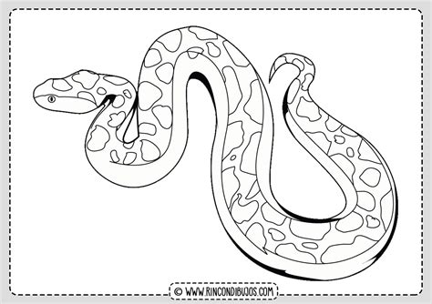 Serpiente Boa Dibujo - Rincon Dibujos