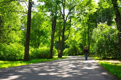 Urban Forestry and Urban Greening | Climate Change Mitigation