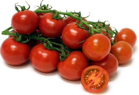 Campari Tomatoes Information and Facts | Heirloom tomato seeds, Tomato seeds, Heirloom tomatoes