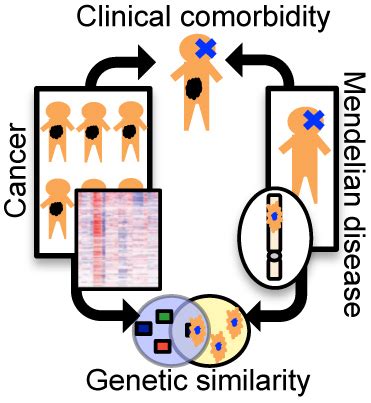 Connections Found between Mendelian Diseases and Cancer | Columbia ...