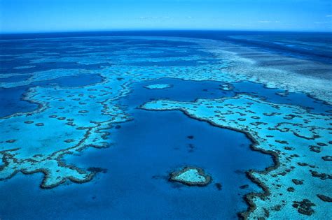 Great Barrier Reef Memories | Lost In Australia