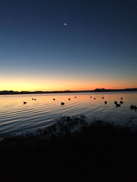 Duck hunting sunrise | Duck hunting, Hunting, Sunrise