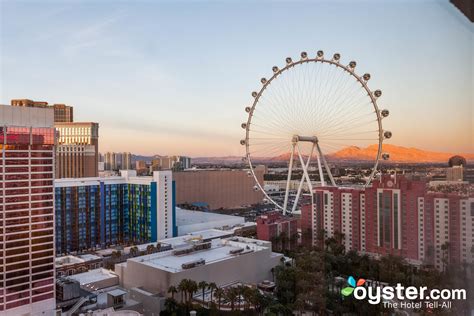 Flamingo Las Vegas Hotel & Casino - The Go Room at the Flamingo Las ...