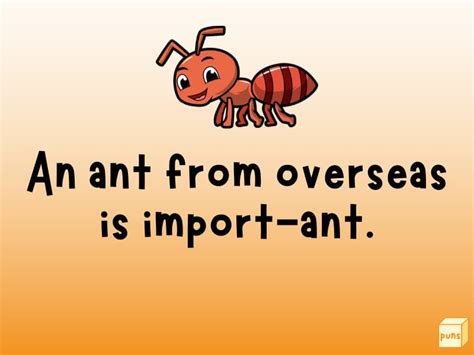 115+ Funny Ant Puns to Make You Laugh Ant-il You Cry - Box of Puns