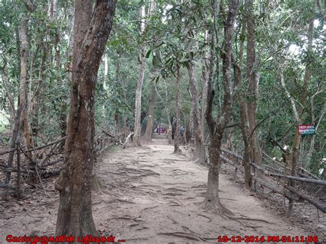 Kuruva Island in Kabini River - Exploring My Life