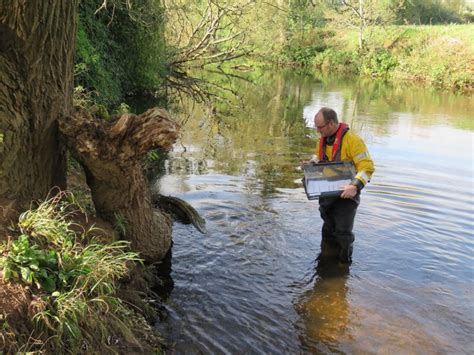 Habitat preferences of the critically endangered European eel - Inside ...