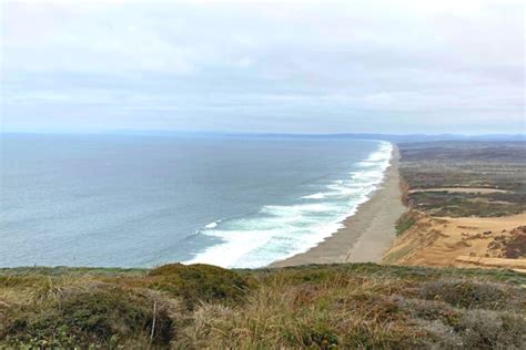 Top 20 Things to Do in Point Reyes: Everything You Need to Know for a Wonderful West Marin ...