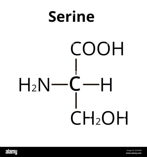 Serine Structure