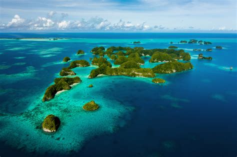 Palau - Now Is The Time To Dive These 5 Dive Sites - DeeperBlue.com