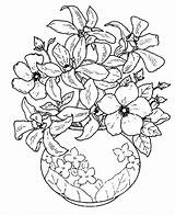 Vase And Flowers Coloring Page  Home sketch template
