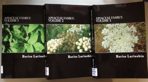 Apiaceae Family – Botanics Stories