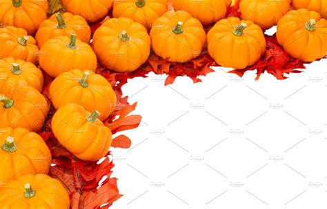 Fall pumpkins as border | Holiday Stock Photos ~ Creative Market