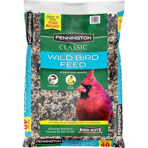 Wild bird feeding this winter ? - 24hourcampfire