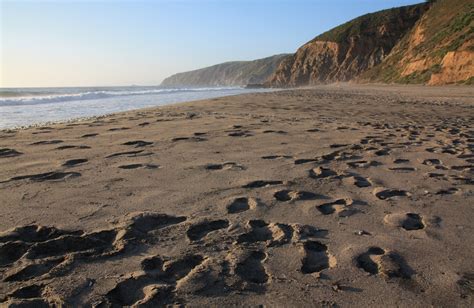 Top 10 Beaches in California - California Beaches