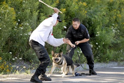 Police Training: Canine Police Training