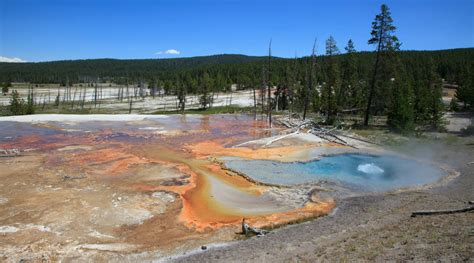 Yellowstone Photography Workshops - Photography Tours