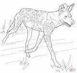 Hunting Dog Coloring Pages sketch template