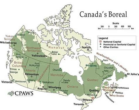 Boreal Forest: June 2015