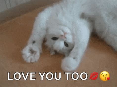 I Love You Too GIF by memecandy - Find & Share on GIPHY