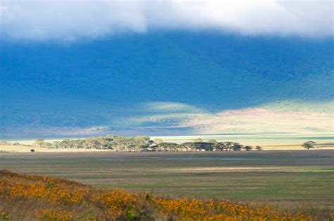 150+ Sunrise Ngorongoro Crater Tanzania Africa Stock Photos, Pictures ...