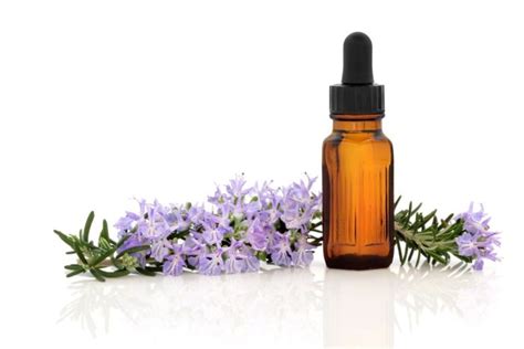 How to Use Rosemary Oil for Skin Tightening and Hair Growth - Well and ...