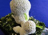Poodle Dog In Flowers – buy online or call 01206 843461